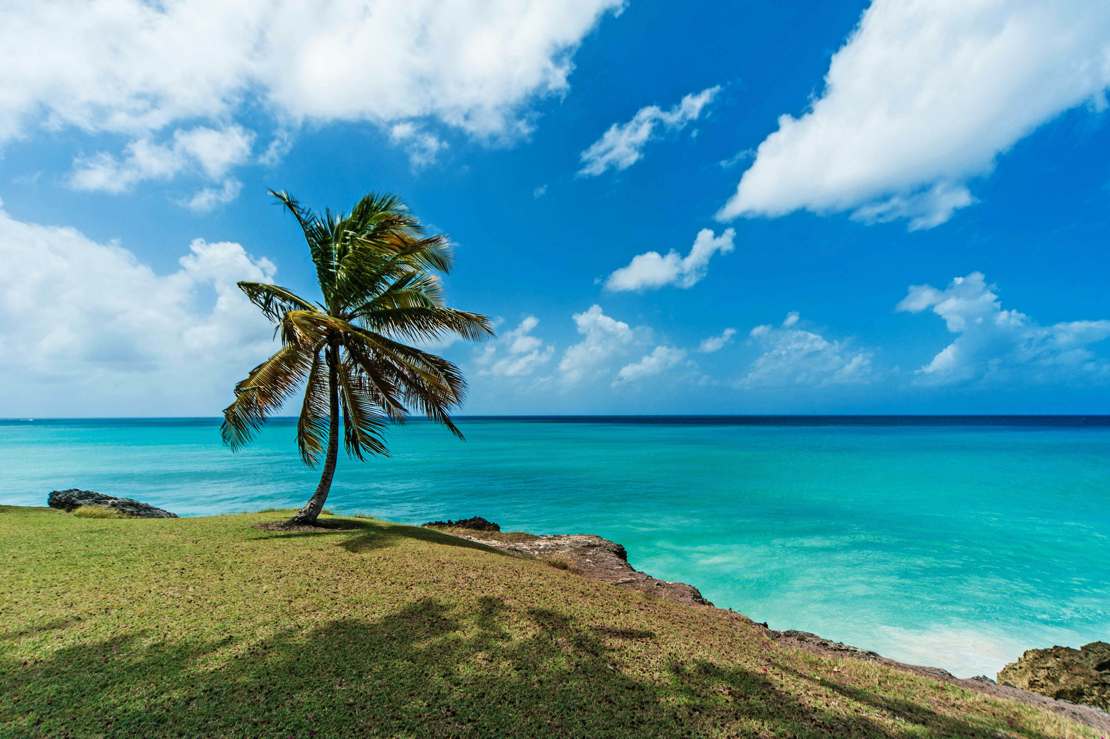 How to Plan a Romantic Honeymoon in Barbados