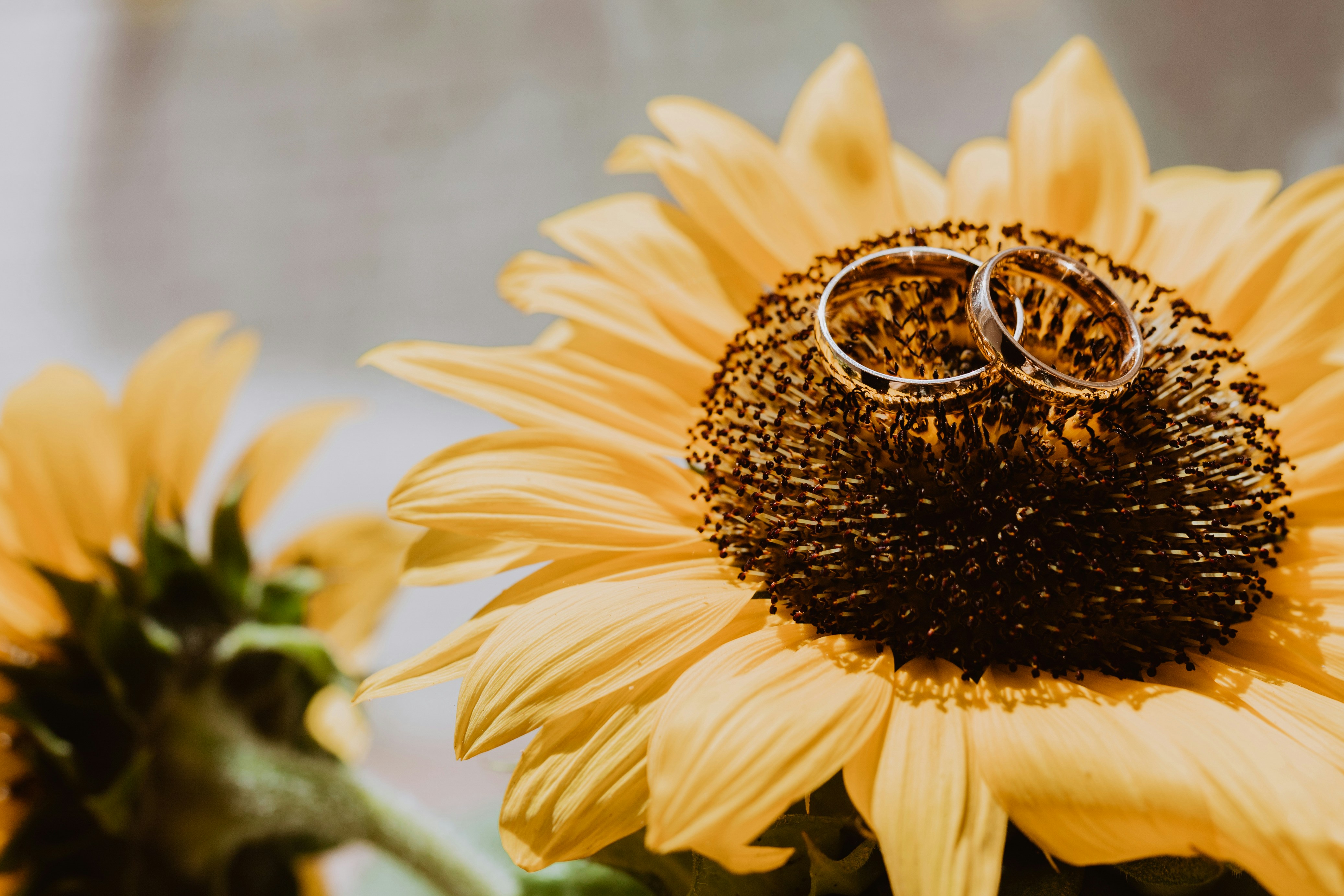 5 Summer Habits That Put Your Engagement Ring at Risk