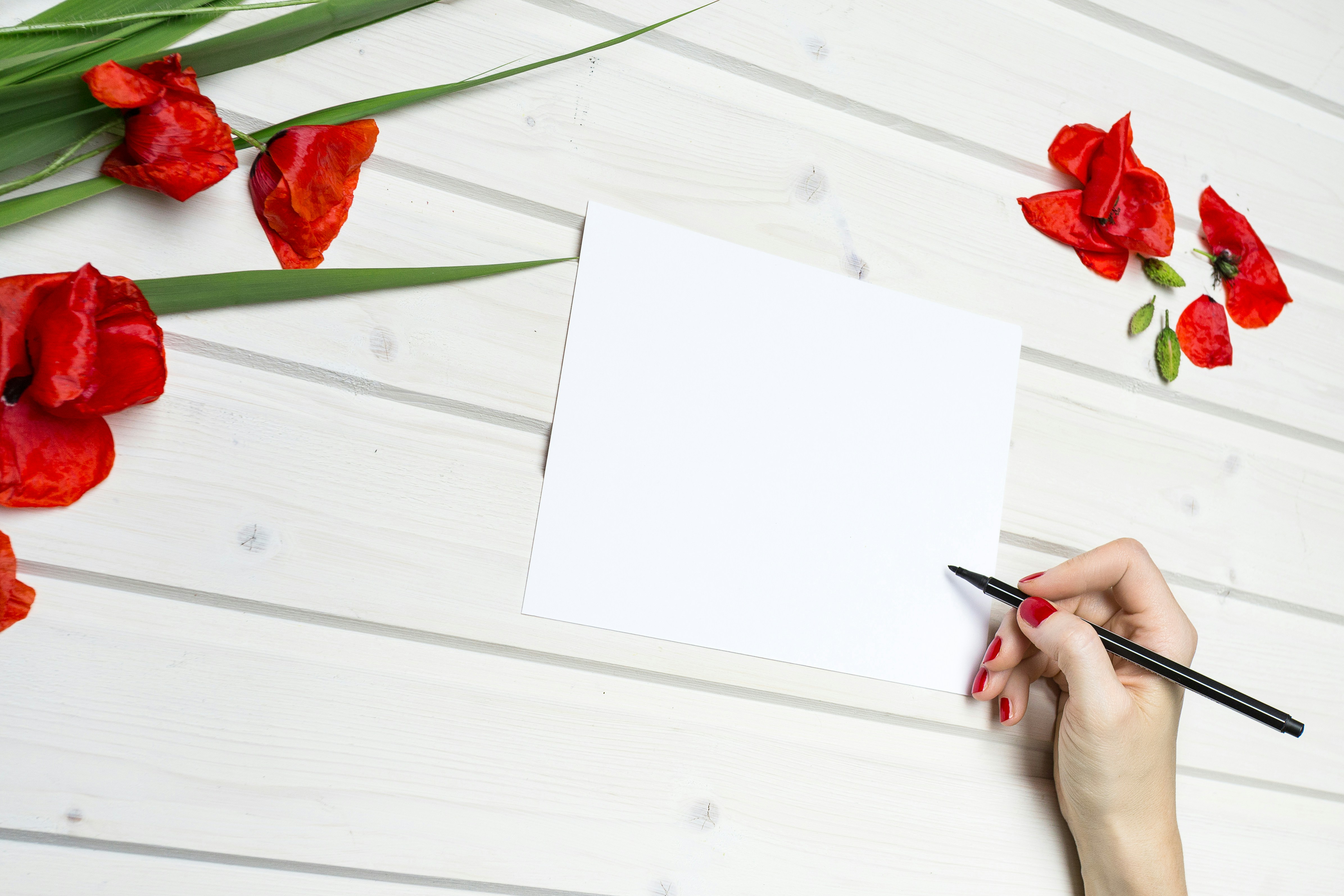 What to Write in a Wedding Card: Expert Tips and Thoughtful Wishes